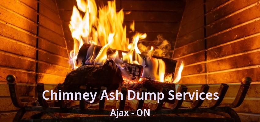 Chimney Ash Dump Services Ajax - ON