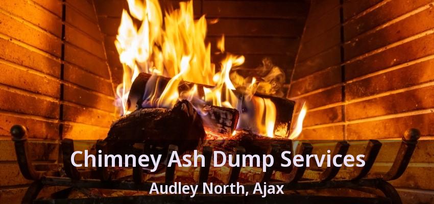 Chimney Ash Dump Services Audley North, Ajax - ON