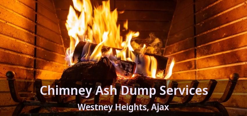Chimney Ash Dump Services Westney Heights, Ajax - ON