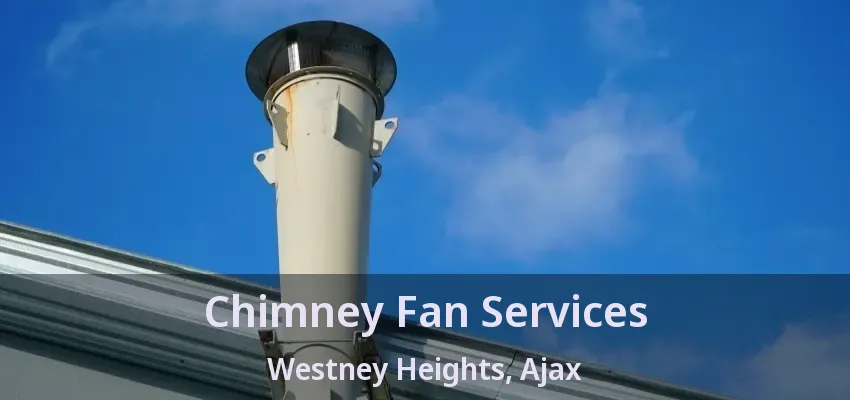 Chimney Fan Services Westney Heights, Ajax - ON