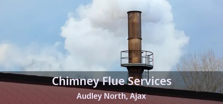 Chimney Flue Services Audley North, Ajax - ON
