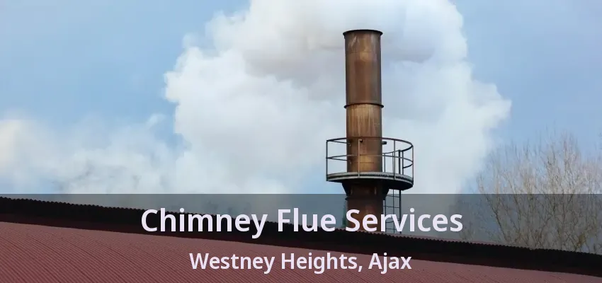 Chimney Flue Services Westney Heights, Ajax - ON