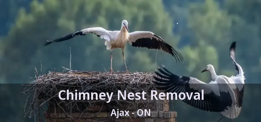 Chimney Nest Removal Ajax - ON
