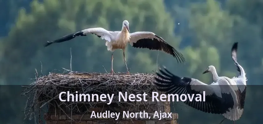 Chimney Nest Removal Audley North, Ajax - ON