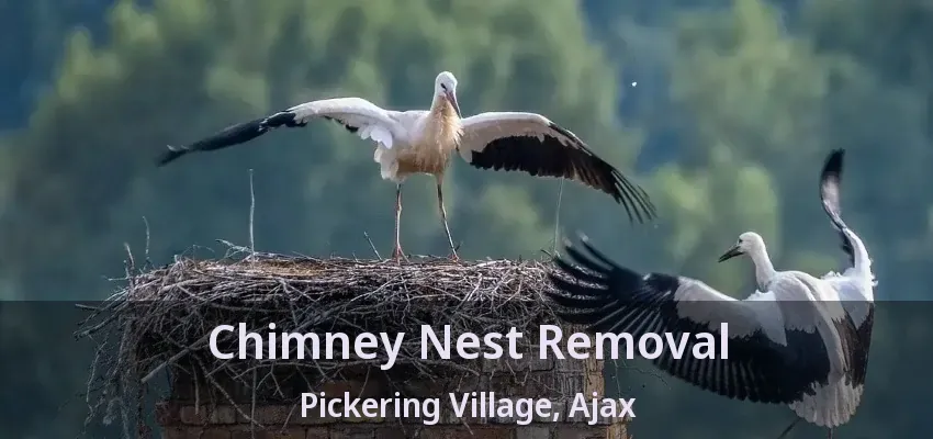 Chimney Nest Removal Pickering Village, Ajax - ON