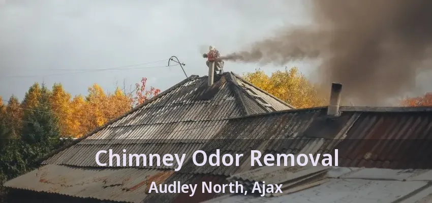 Chimney Odor Removal Audley North, Ajax - ON