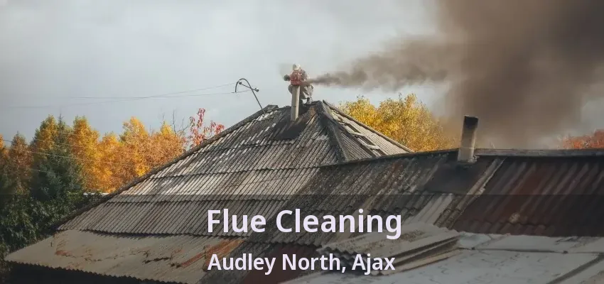 Flue Cleaning Audley North, Ajax - ON