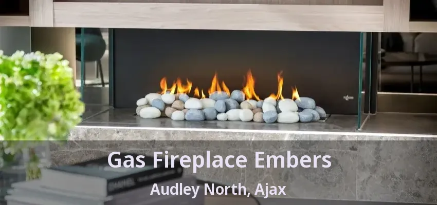 Gas Fireplace Embers Audley North, Ajax - ON