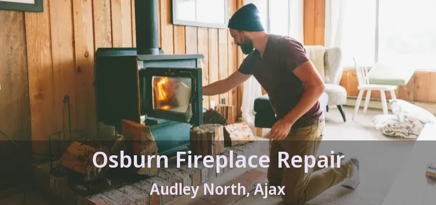 Osburn Fireplace Repair Audley North, Ajax - ON