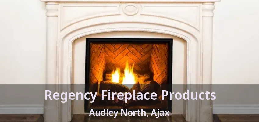 Regency Fireplace Products Audley North, Ajax - ON
