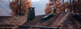 Chimney Animal Removal Audley North, Ajax